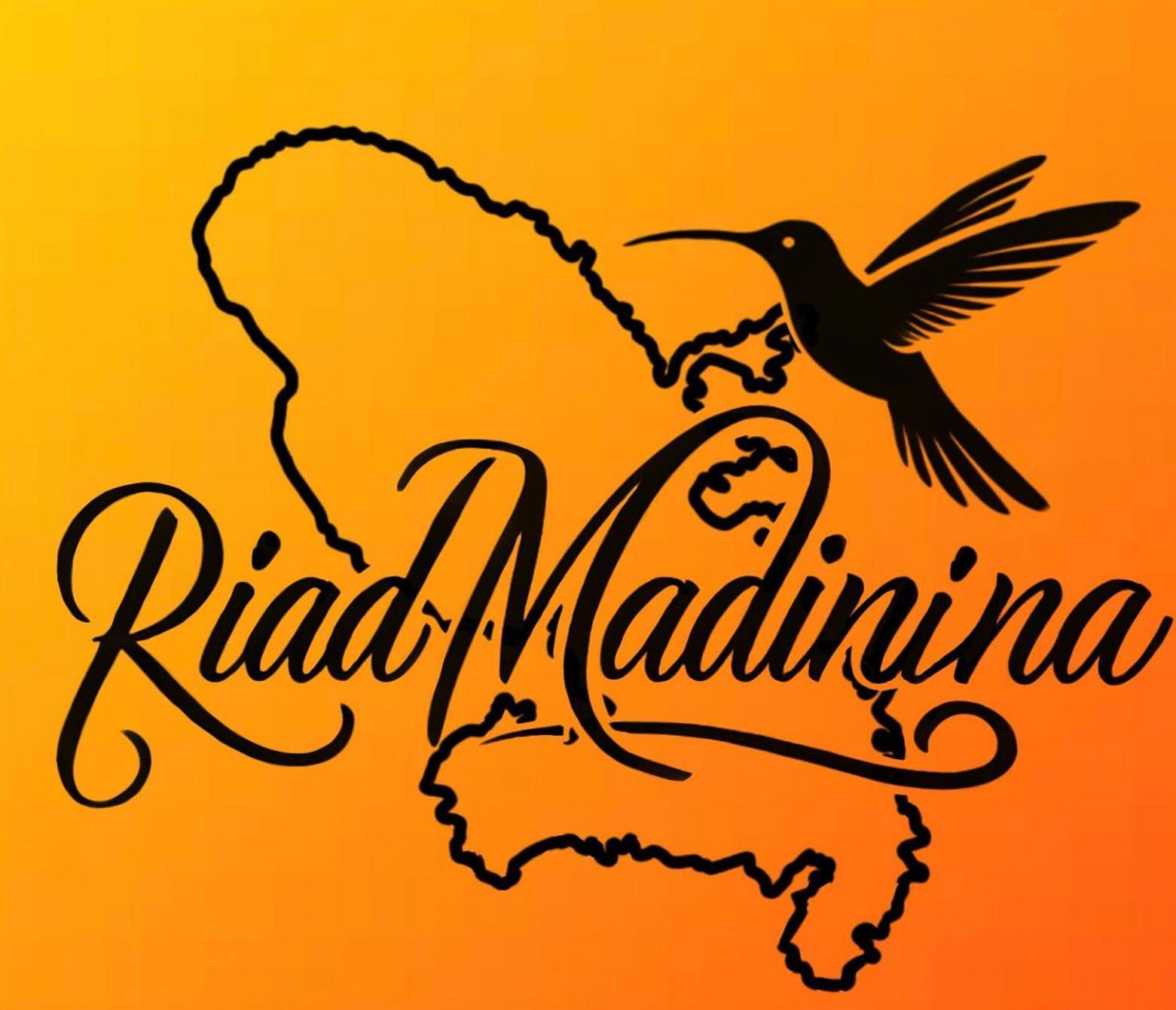 Riad Madinina 马拉喀什 外观 照片